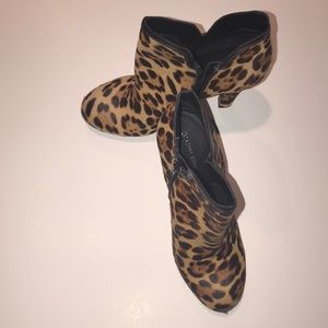 Gianni Bini - Leopard print booties